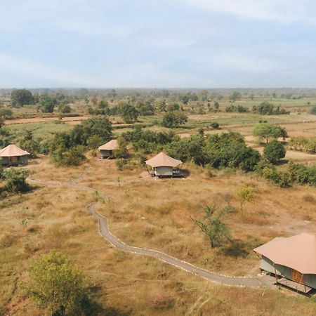 Hotel Trees N Tigers, Tadoba Kolāra Exteriér fotografie
