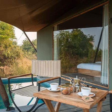 Hotel Trees N Tigers, Tadoba Kolāra Exteriér fotografie