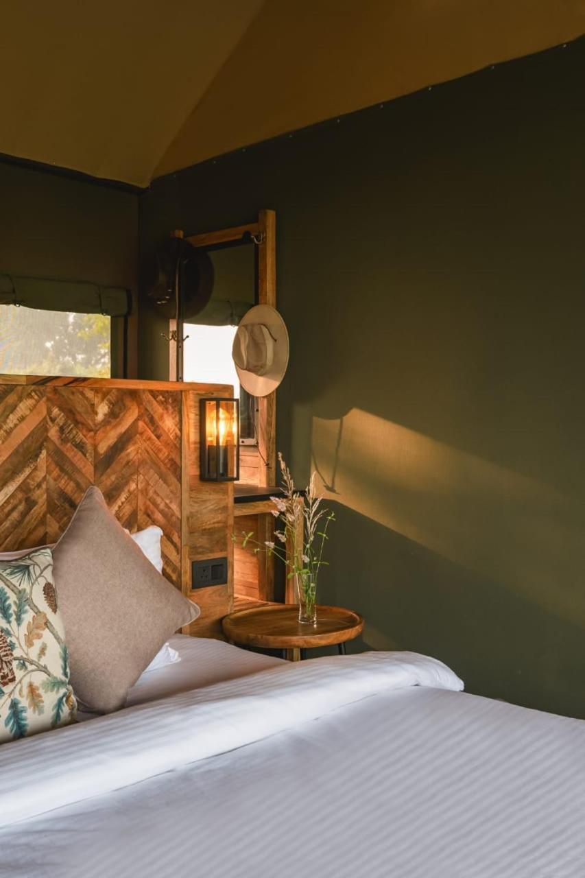 Hotel Trees N Tigers, Tadoba Kolāra Exteriér fotografie