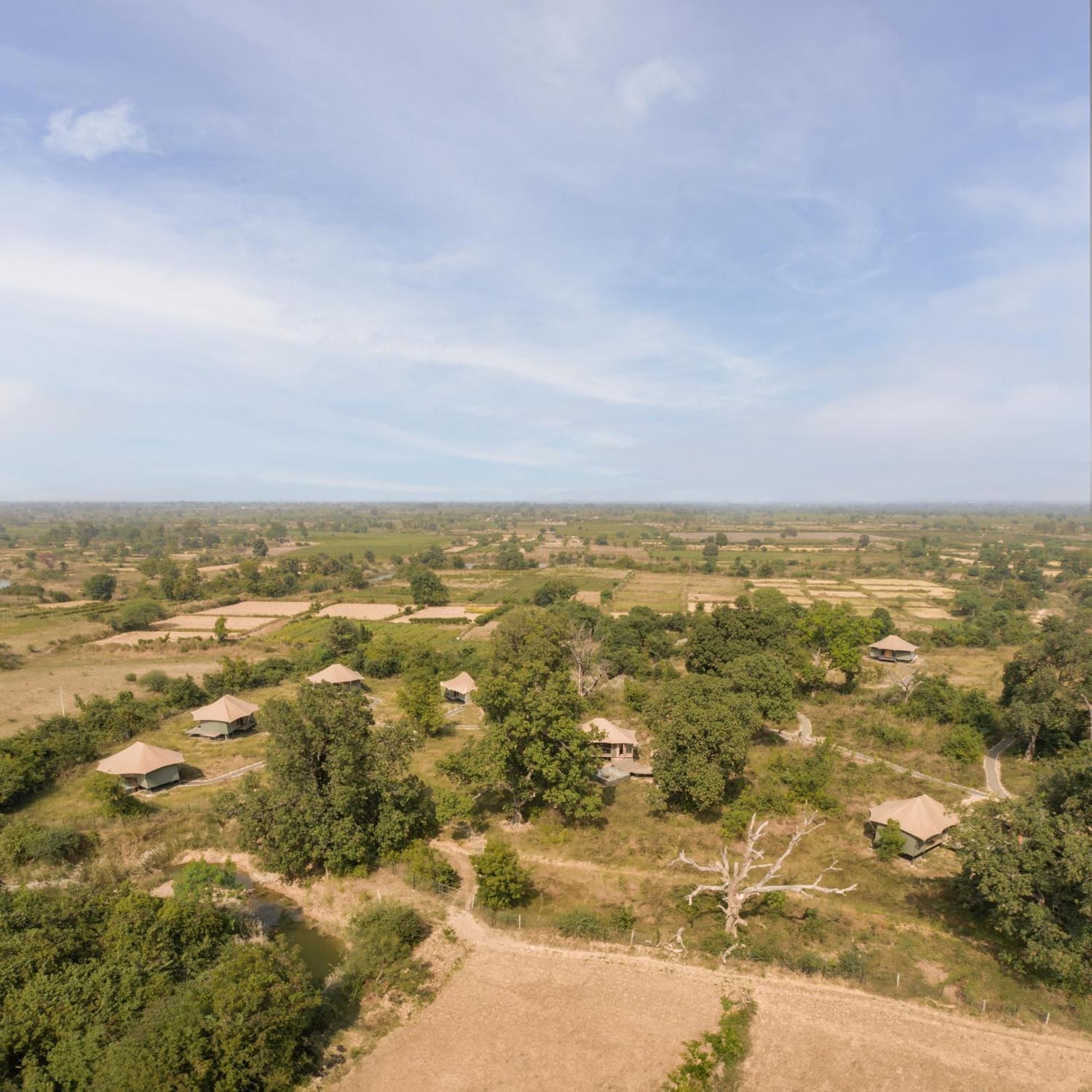 Hotel Trees N Tigers, Tadoba Kolāra Exteriér fotografie