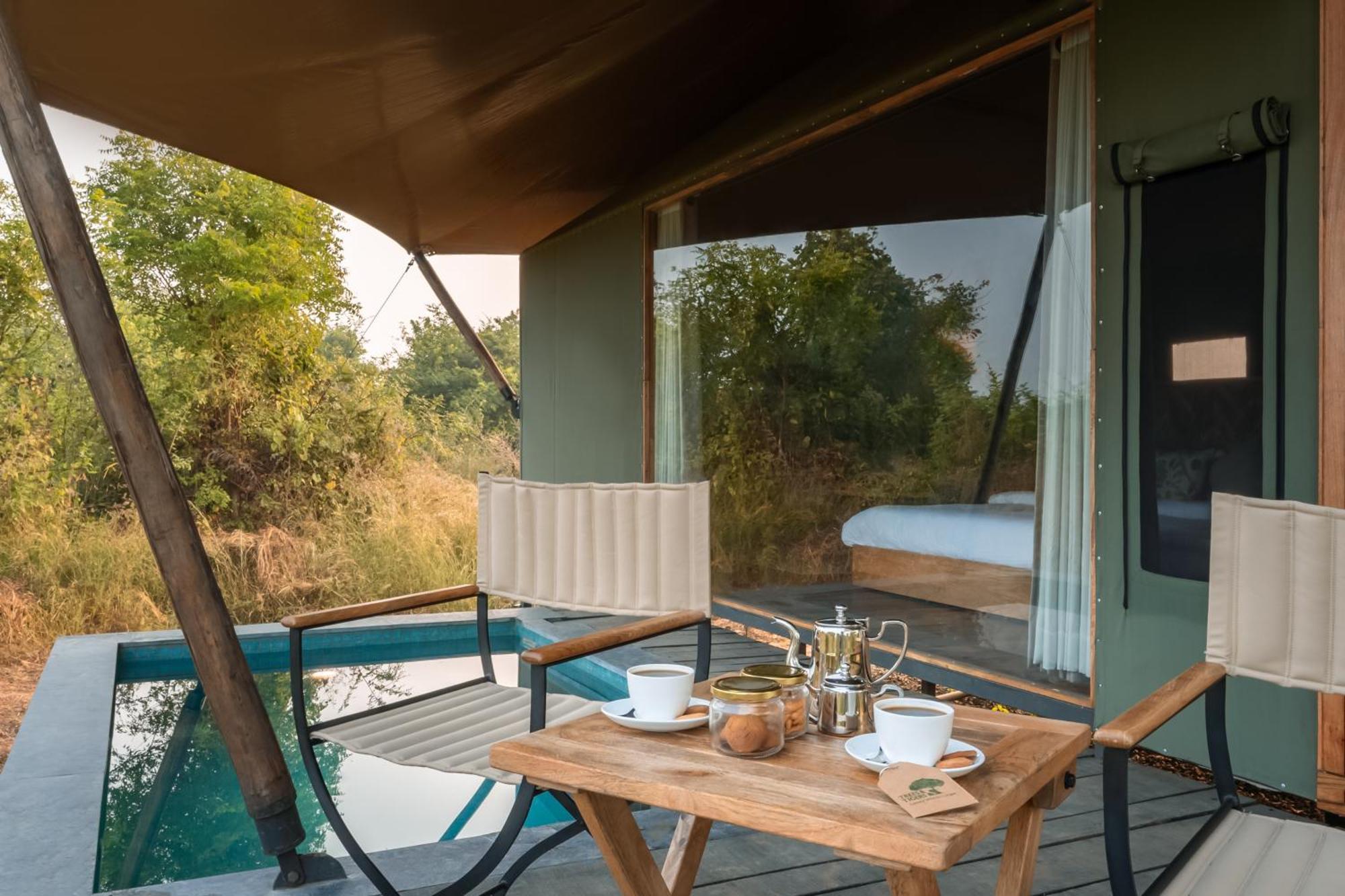 Hotel Trees N Tigers, Tadoba Kolāra Exteriér fotografie